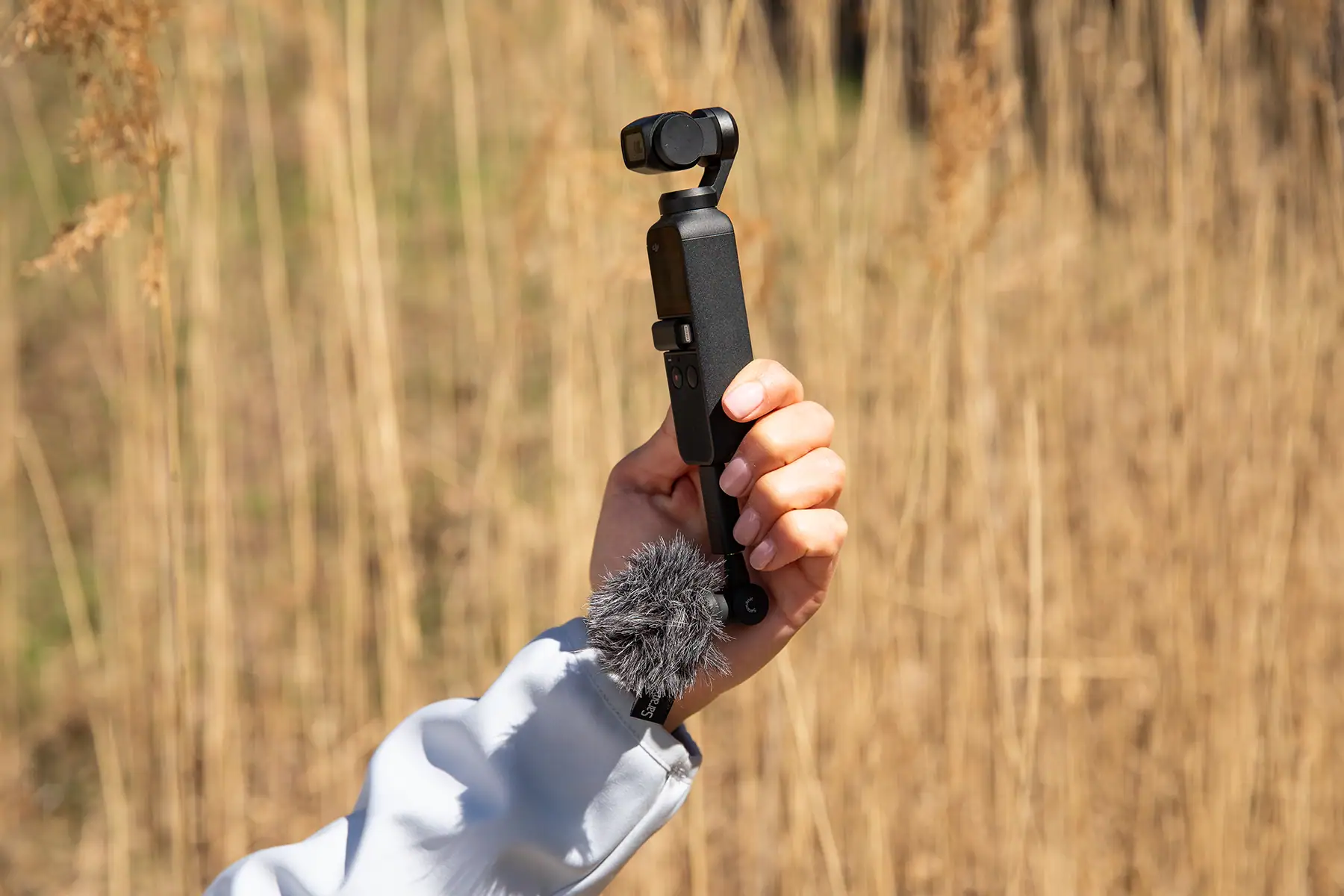 Using an external microphone with a compact handheld camera and windscreen for clear outdoor audio recording in a nature setting.