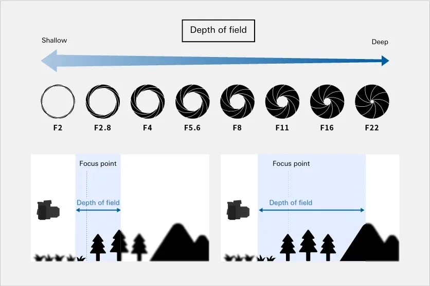 Diagramme montrant comment les valeurs d'ouverture de F2 à F22 affectent la profondeur de champ, les grandes ouvertures créant une mise au point superficielle et les ouvertures étroites augmentant la plage de mise au point.