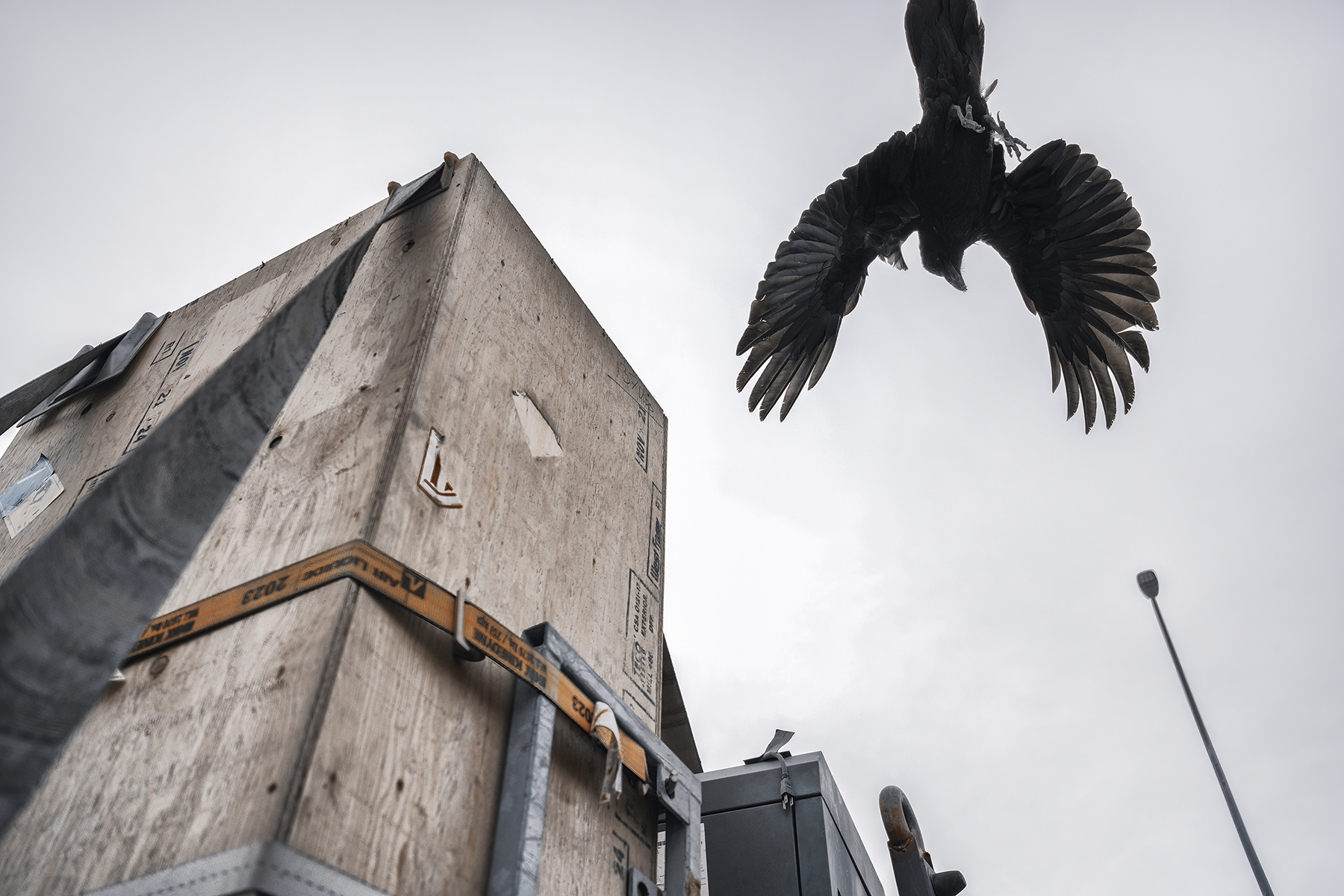 A crow captured mid-flight above a wooden crate and industrial equipment, highlighting the 16-30mm lens&rsquo;s fast autofocus and sharp detail in spontaneous, real-world shooting.
