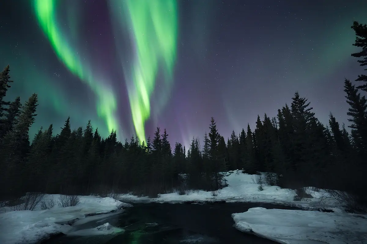 Northern Lights glowing above snow and pine trees, captured with a Tamron wide-angle f/2.8 lens &mdash; delivering vivid color and detail with the best lens for astrophotography and low light landscapes.
