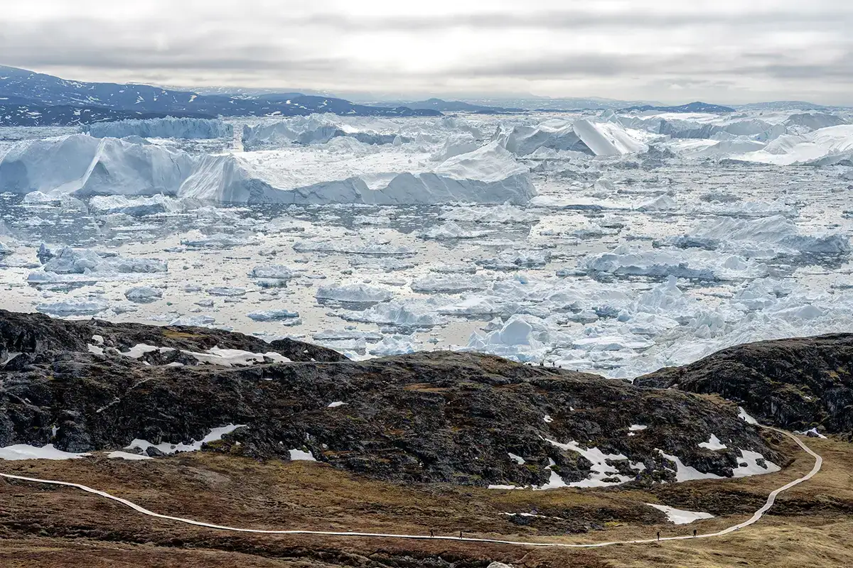 Sentier de randonnée surplombant le fjord glaciaire d'Ilulissat au Groenland, avec vue panoramique sur des icebergs massifs et le paysage marin arctique, photographié avec un objectif grand angle Tamron.