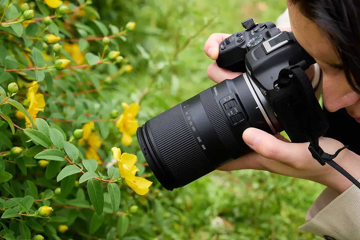 Photographer using a Canon EOS mirrorless camera with Tamron 18-300mm RF mount lens to capture close-up detail of yellow flowers.