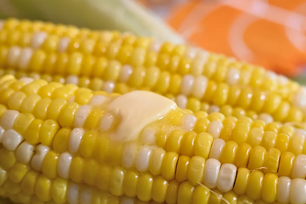 Close-up da manteiga derretendo na espiga de milho fresca, capturada em tons quentes para fotografia de alimentos e bebidas do outono.