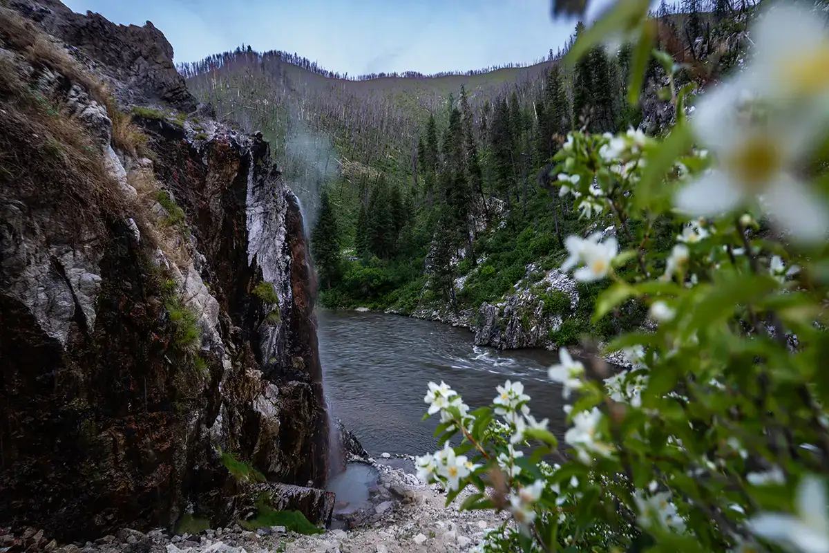 Escénico río y cascada enmarcada por flores silvestres, mostrando la naturaleza en consejos de fotografía de viajes por carretera.