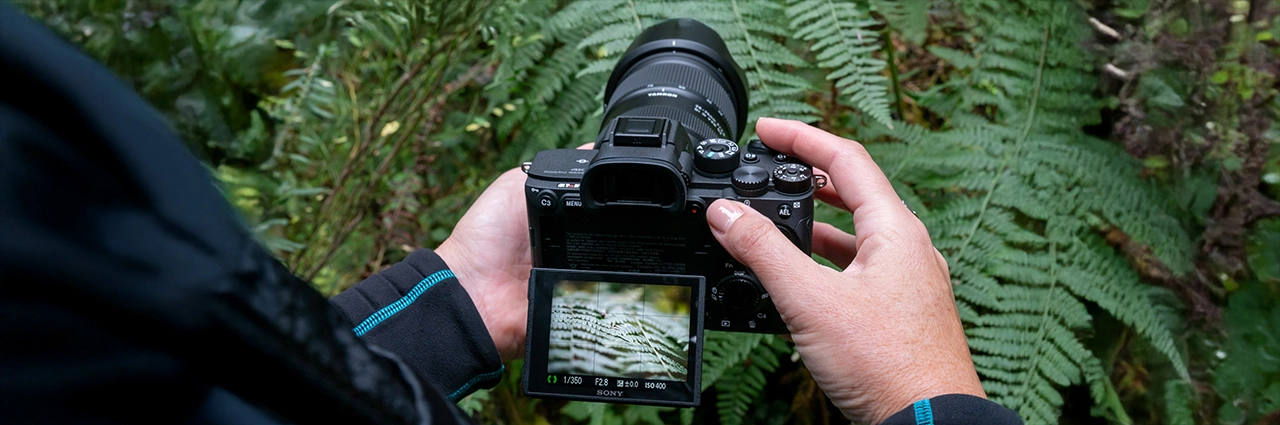 Videographer adjusting a Sony mirrorless camera with a Tamron lens, capturing detailed focus on fern leaves in a lush outdoor setting.