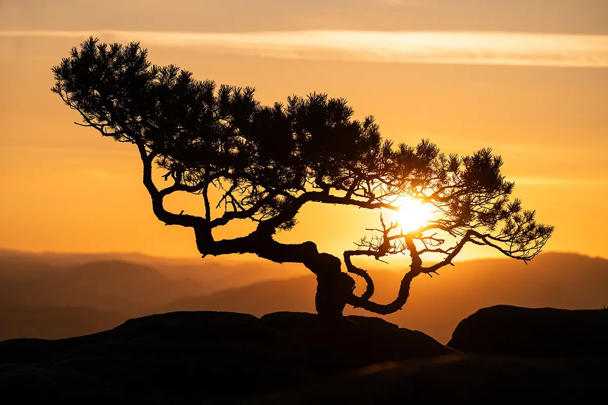 Fotografía de la hora dorada del atardecer sobre el mar con siluetas.
