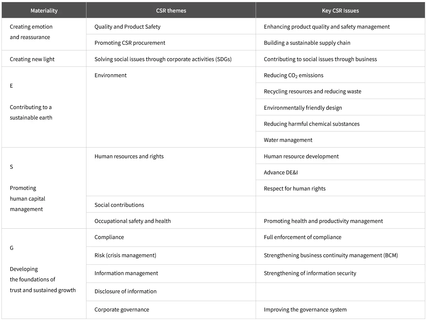 Tamron CSR themes and key issues by materiality category.