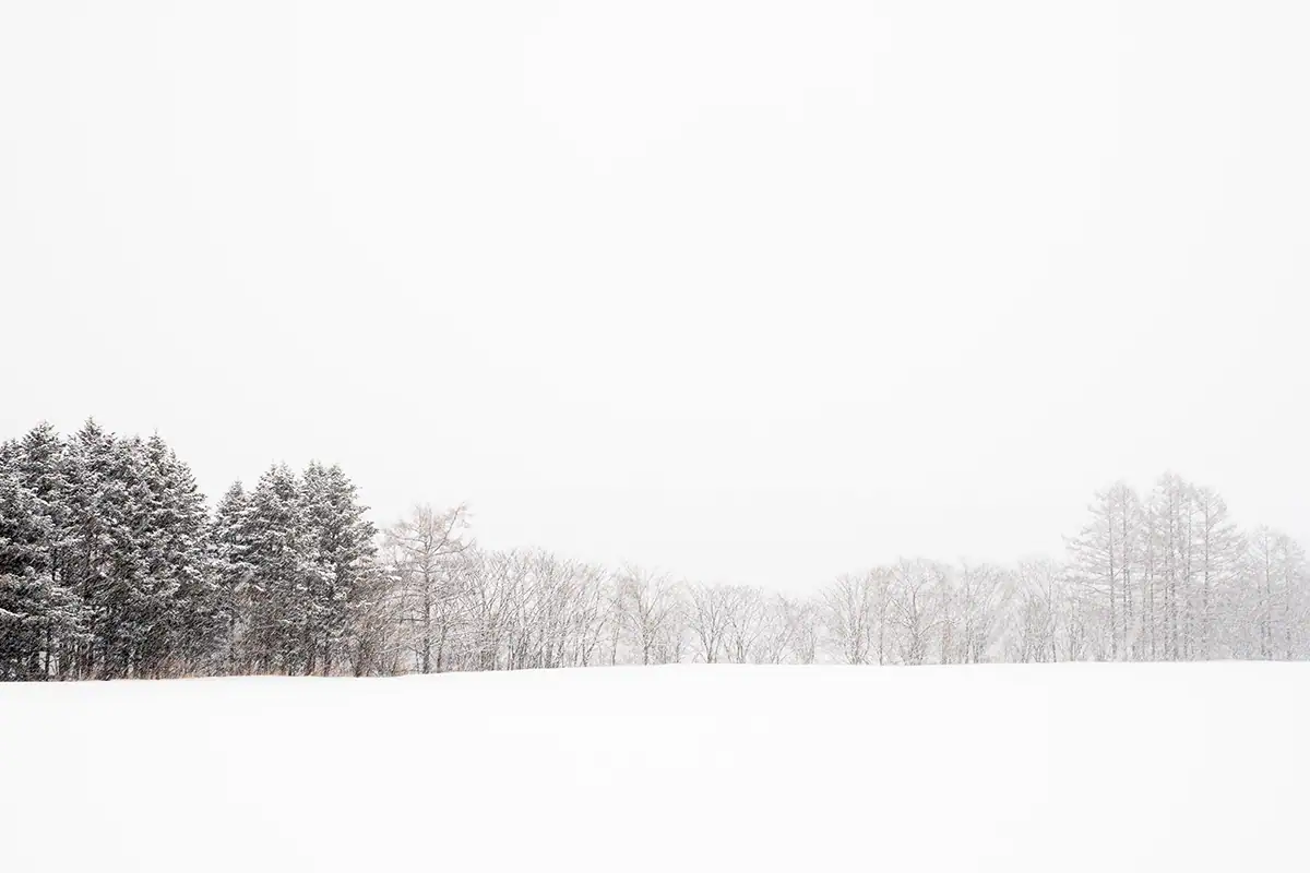 Sereno campo minimalista cubierto de nieve con árboles lejanos en Hokkaido, Japón