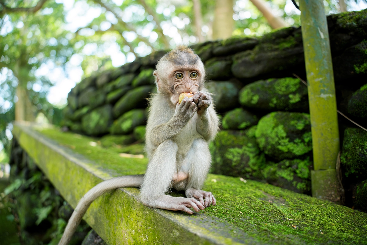 <p>Focal length : 25mm Exposure : F/2.8 1/250 sec ISO 400</p>
