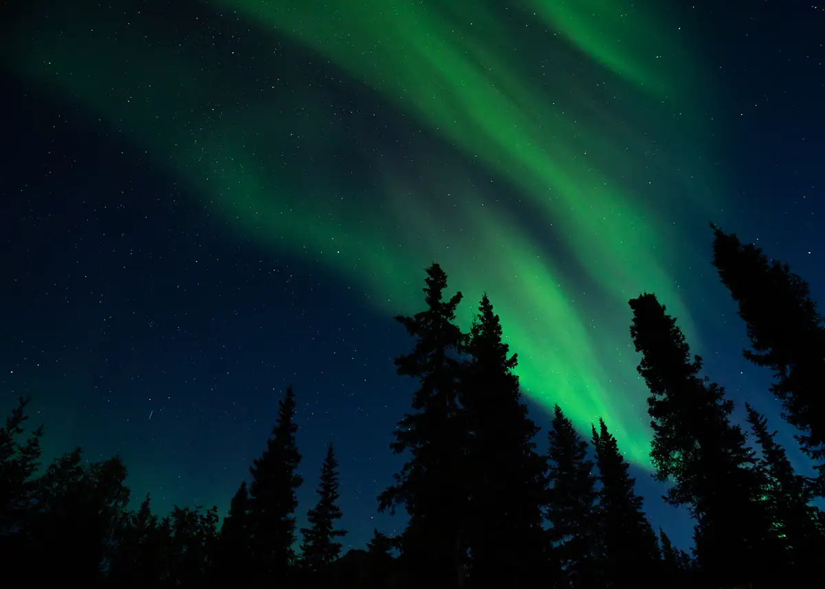 Green aurora borealis lighting up the night sky above silhouetted spruce trees, a stunning example of aurora in Alaska and night landscape photography Alaska.