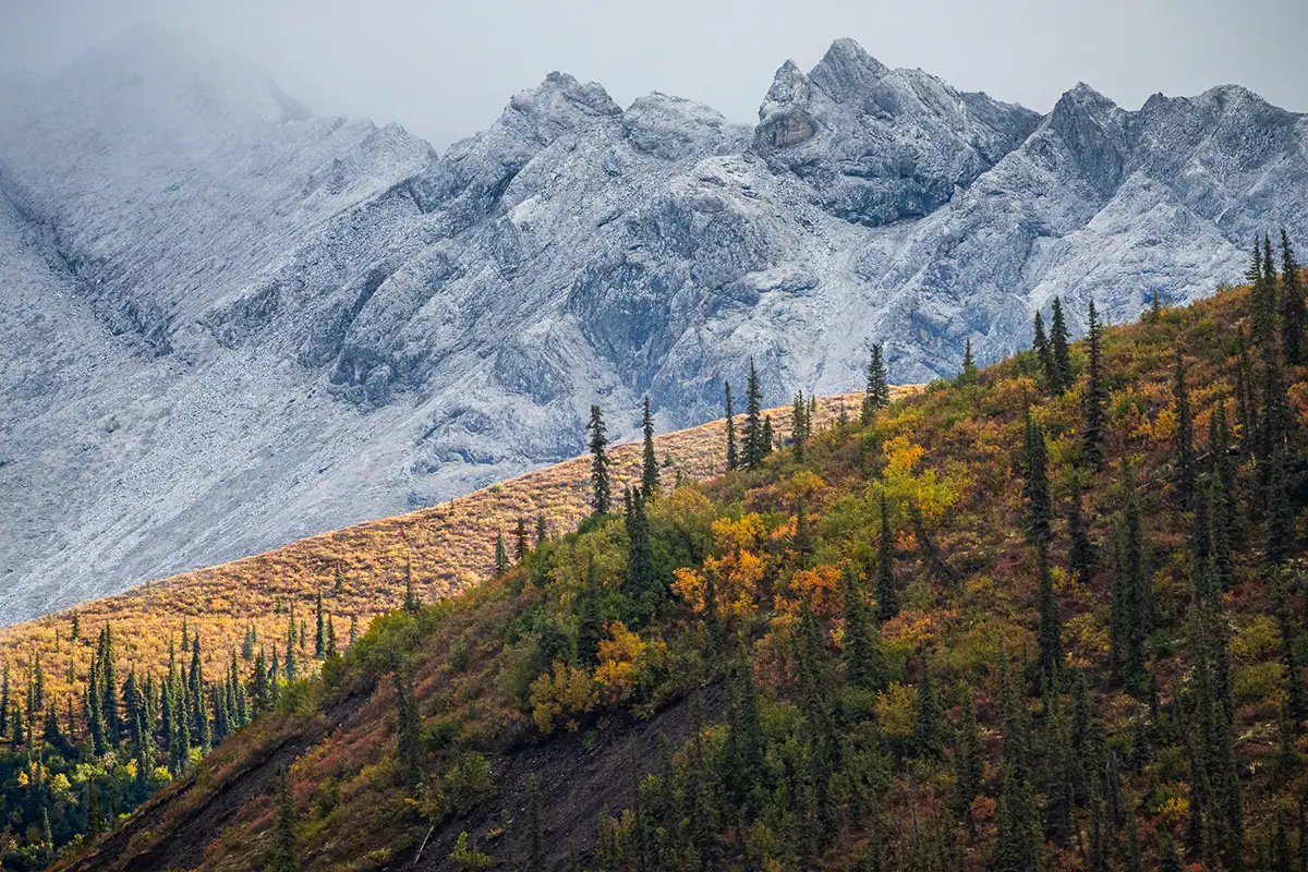 Snow-dusted mountains rising above golden and green tundra slopes during Alaska fall colors, a classic view for landscape photography Alaska