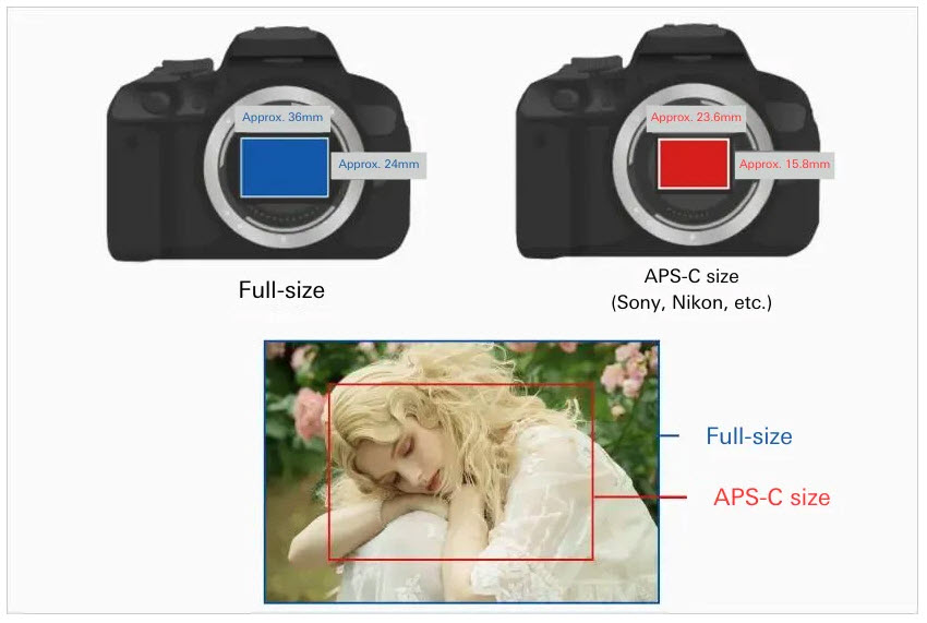 Diagram comparing APS-C vs full-frame camera sensor sizes with crop factor example on portrait photo.