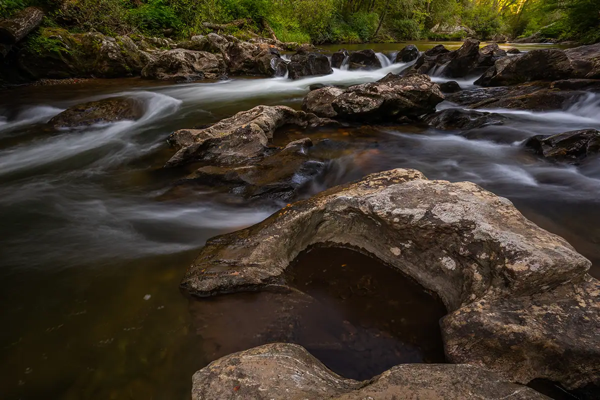 Rivière coulant capturée en longue exposition sur des rochers lisses entourés de verdure luxuriante, démontrant les techniques de mouvement et de composition.