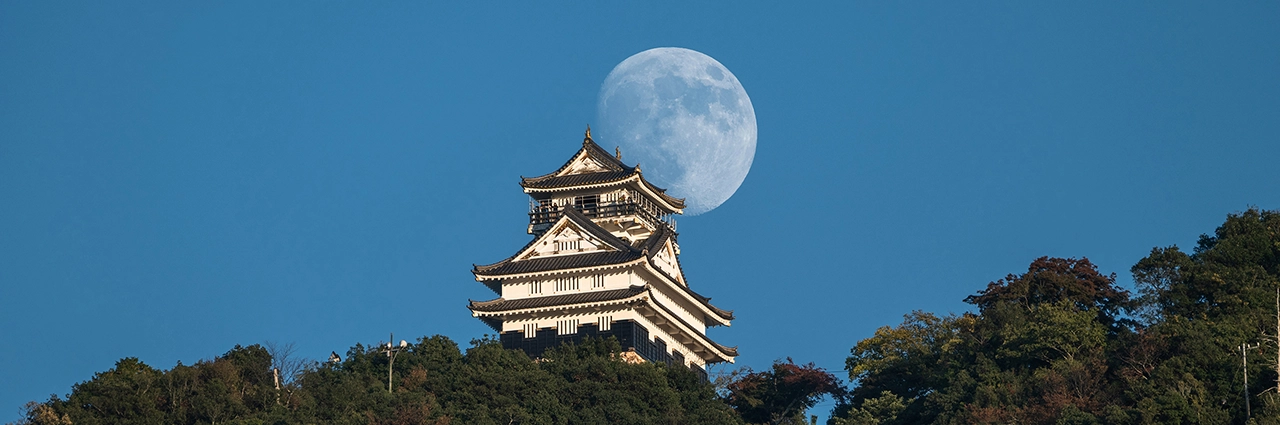 Photographing the moon in daytime behind a Japanese castle.