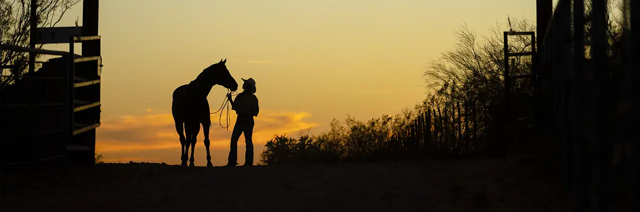 Silueta de un vaquero sujetando un caballo al atardecer, de pie en el camino de un rancho enmarcado por vallas y árboles.