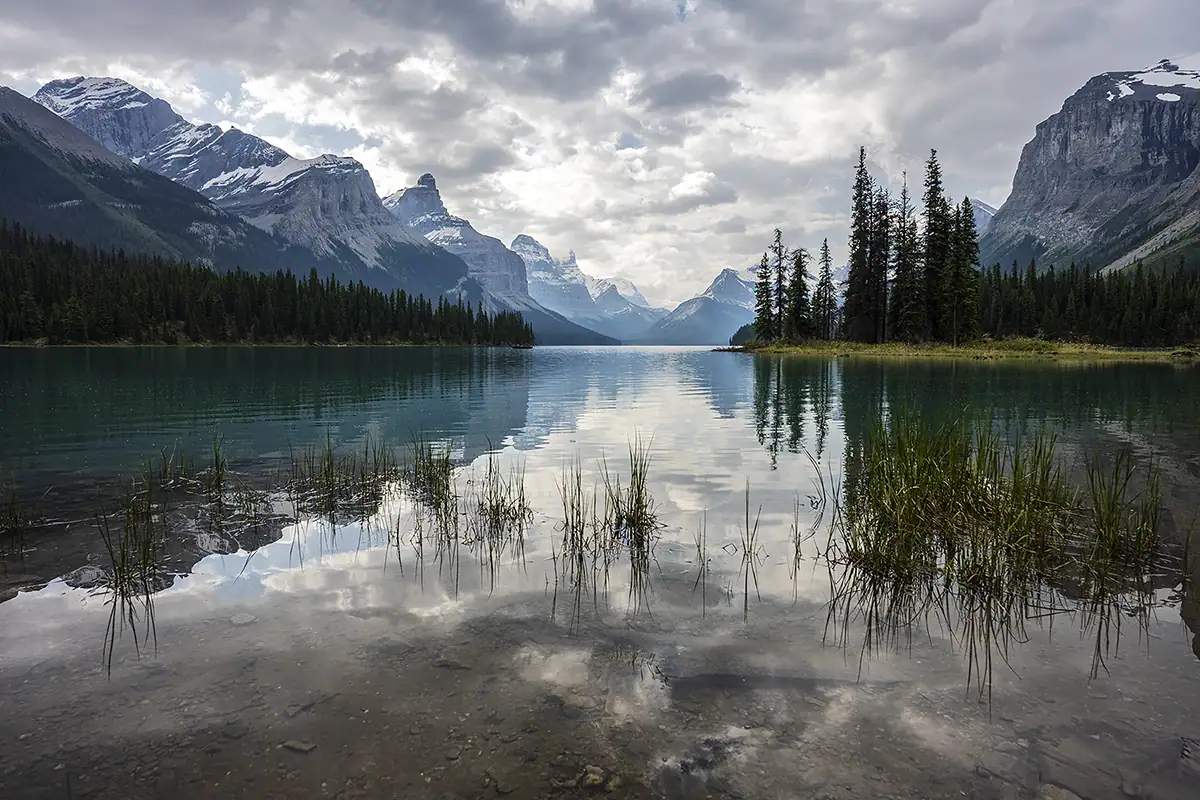 Vue pittoresque du lac Maligne, au Canada, avec une eau turquoise et des herbes hautes poussant sur le fond peu profond. La surface de l'eau reflète le ciel nuageux, les montagnes et les pins environnants, avec en arrière-plan de majestueuses montagnes enneigées.