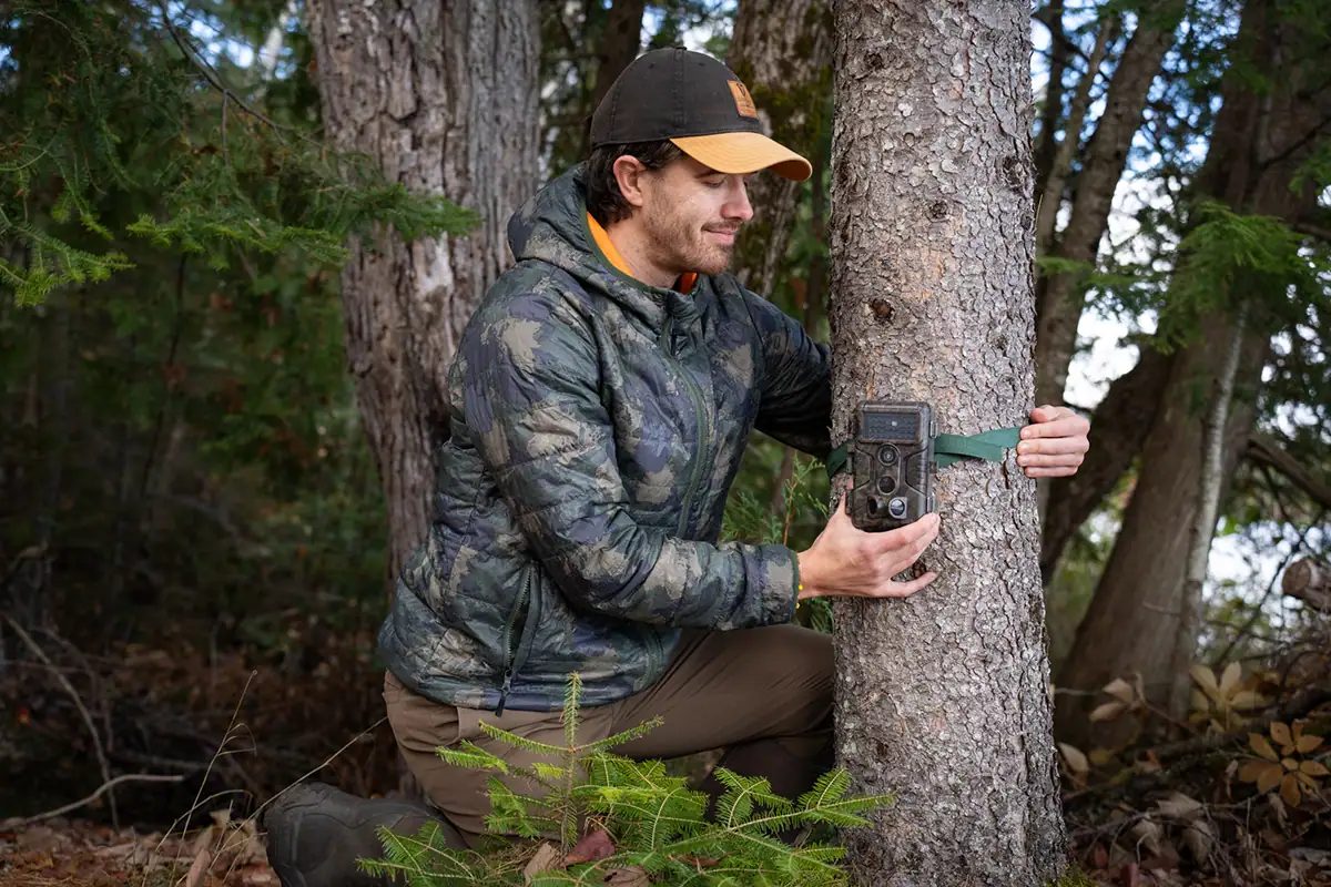 Un hombre con chaqueta y gorra de camuflaje se arrodilla en el bosque mientras sujeta una cámara de rastreo al tronco de un árbol con una correa verde.