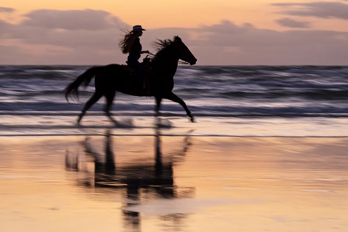 Fotografía panorámica de un caballo y su jinete en la playa al atardecer, mostrando el desenfoque del movimiento y los reflejos para crear una escena costera dinámica.