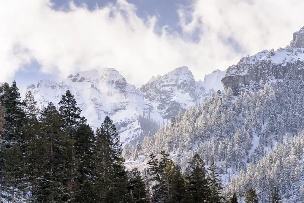 Un paysage de montagne avec des sommets enneigés et des forêts à feuilles persistantes.