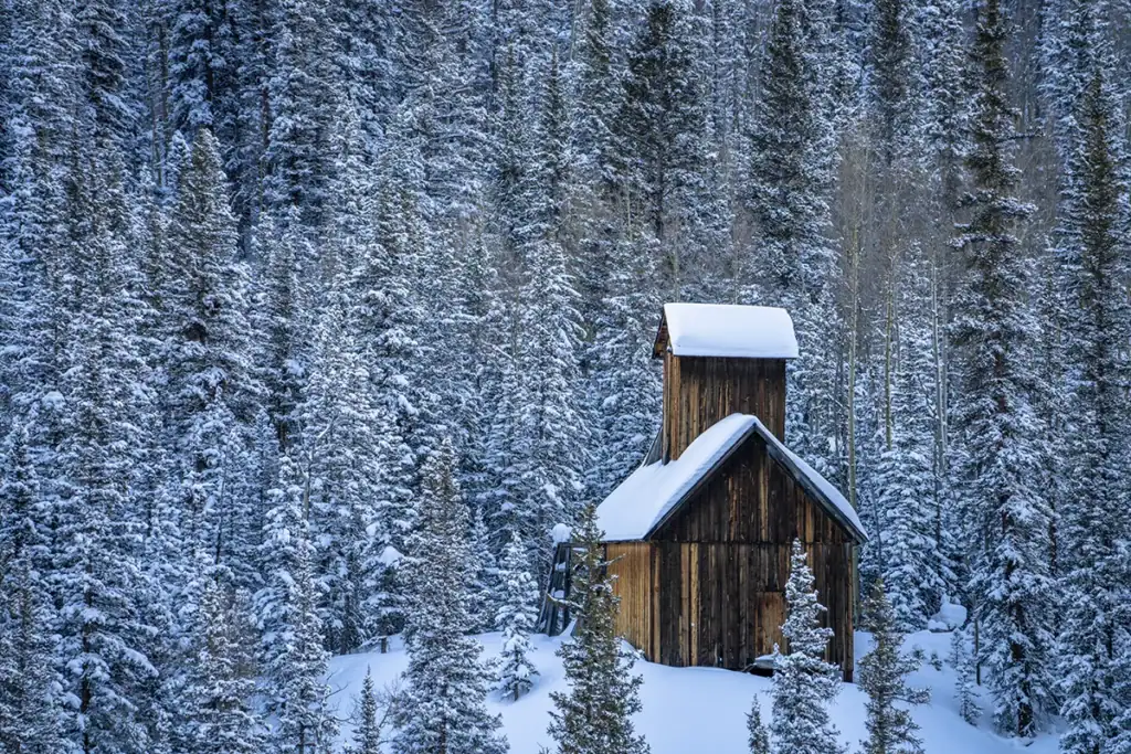 Une maison en bois entourée de pins enneigés.