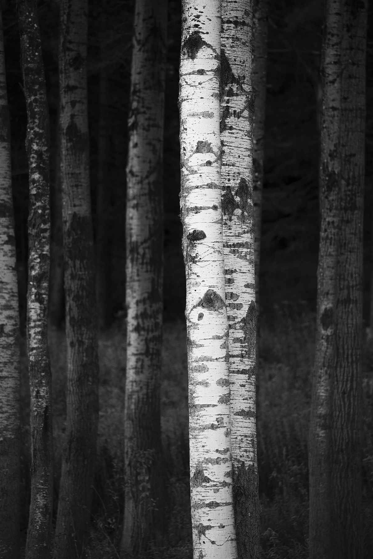 Lente Tamron 25-200 mm G2 montado en una cámara sin espejo en exteriores.