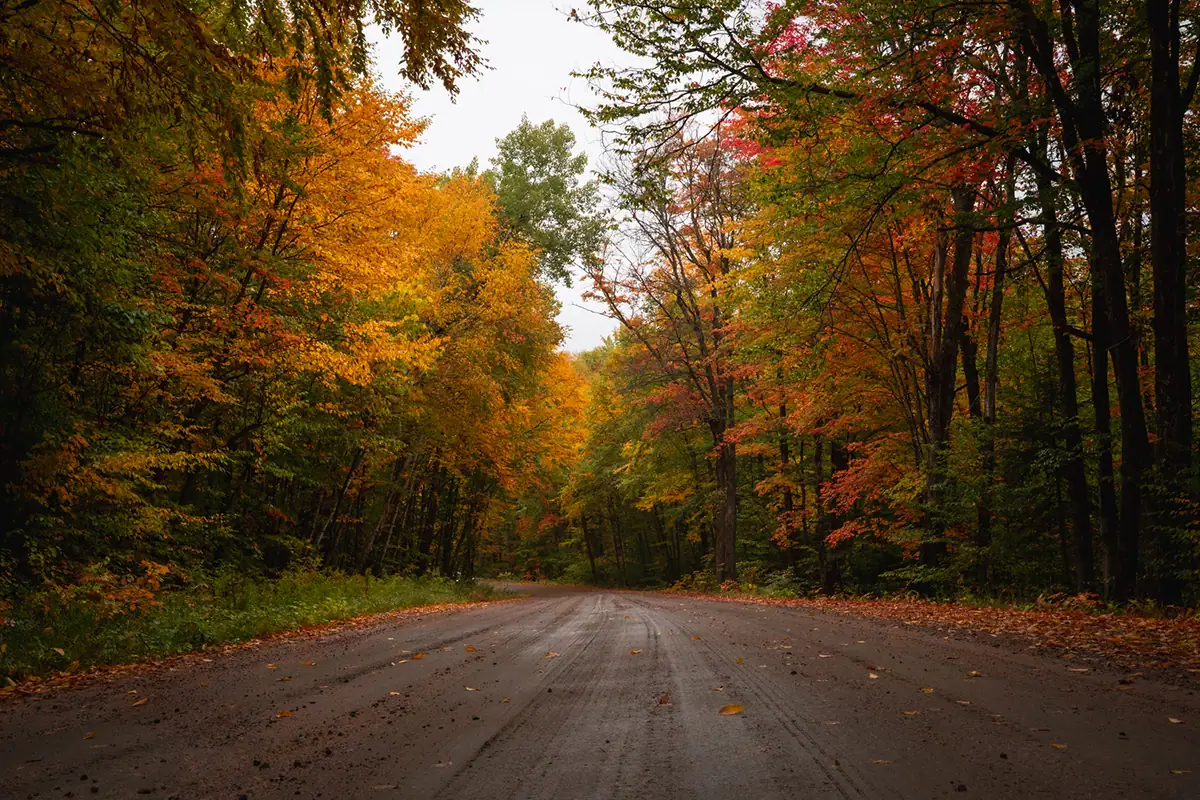 Route de terre bordée d'arbres et entourée d'un feuillage automnal aux couleurs vives, dans des tons rouges, orangés et dorés, mettant en valeur la gamme dynamique du Tamron 28-75 G2.