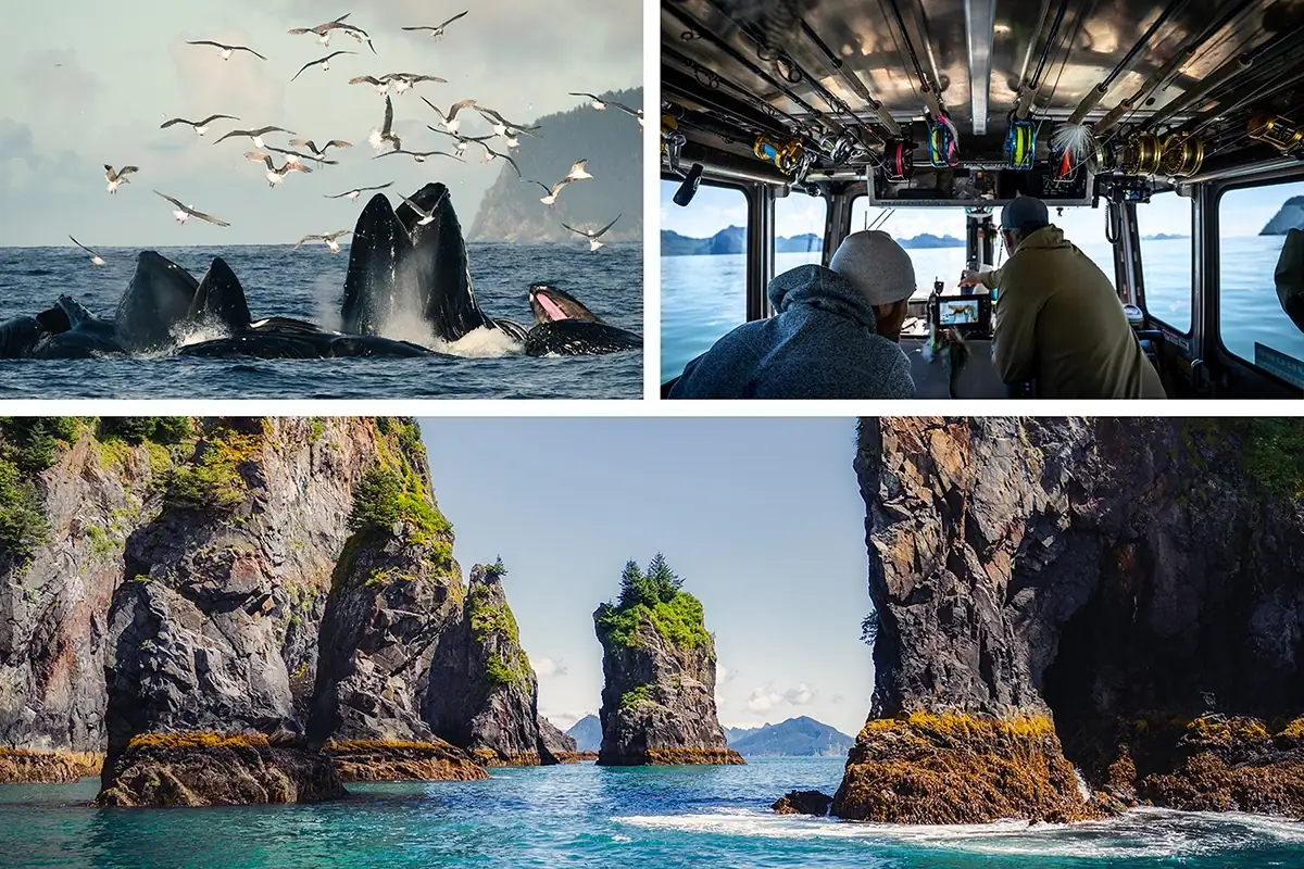 Narrativa visual de tres imágenes sobre el avistamiento de ballenas en Alaska, en la que se muestran ballenas, el interior de un barco y el accidentado paisaje costero.