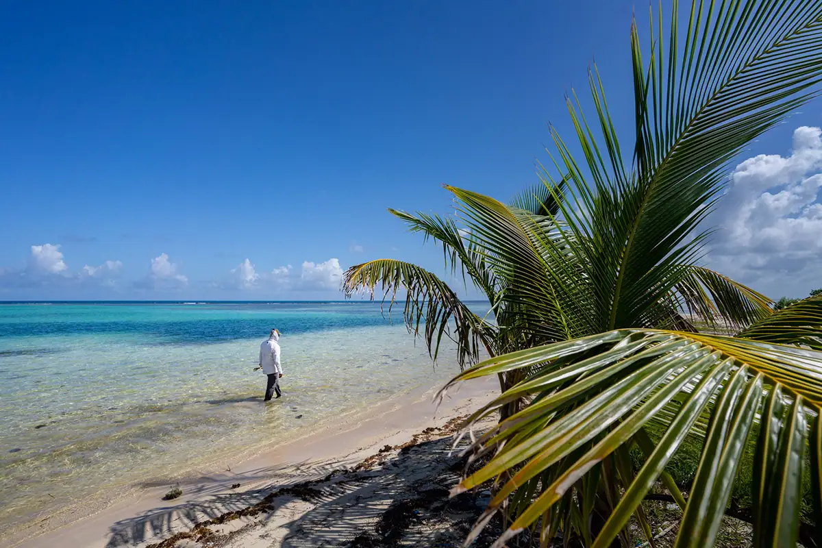 Fisherman walking shoreline at Belize flats holding fly rod.