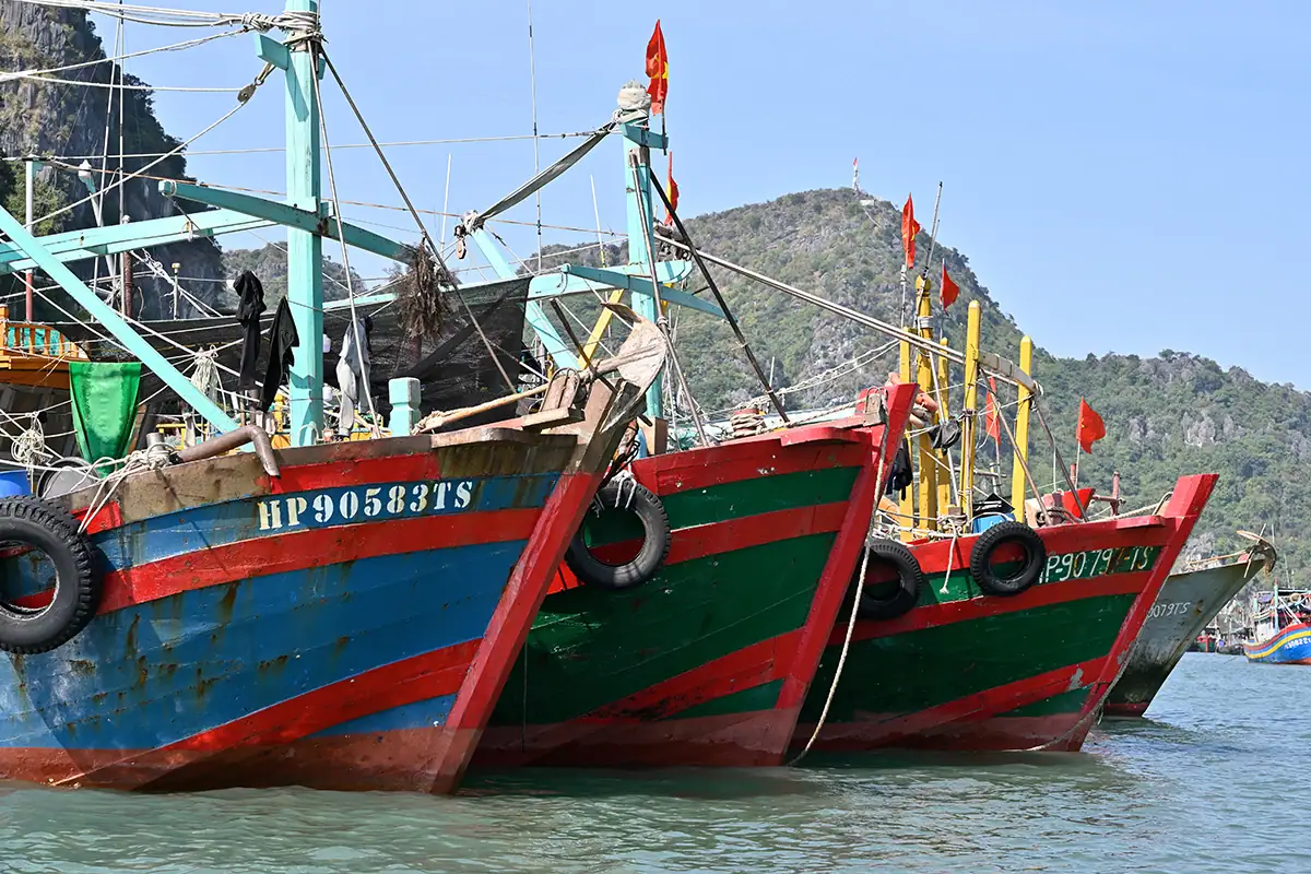 Coloridos barcos pesqueros de madera alineados en el agua de la bahía de Hạ Long, fotografiados con el Tamron 28-75 mm F2.8 G2.