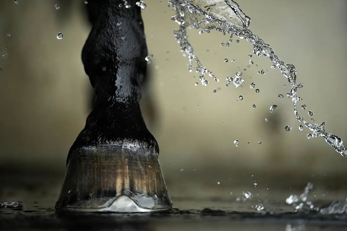 Close-up of a horse&rsquo;s hoof splashing water during equestrian action photography with the Tamron 70-180mm F2.8 G2.