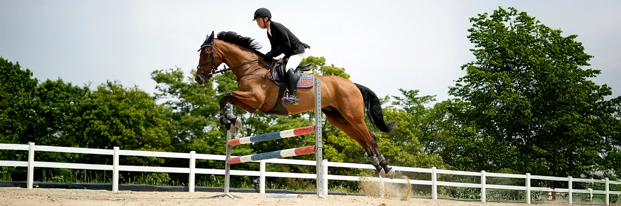 Equestrian rider and horse clearing a jump, photographed for action photography with the Tamron 70-180mm F2.8 G2 sports lens.