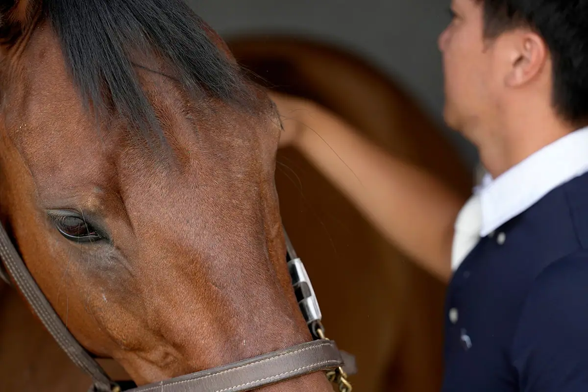 Close-up of a horse&rsquo;s eye and face with a rider nearby, captured for equestrian action photography using the Tamron 70-180mm F2.8 G2.