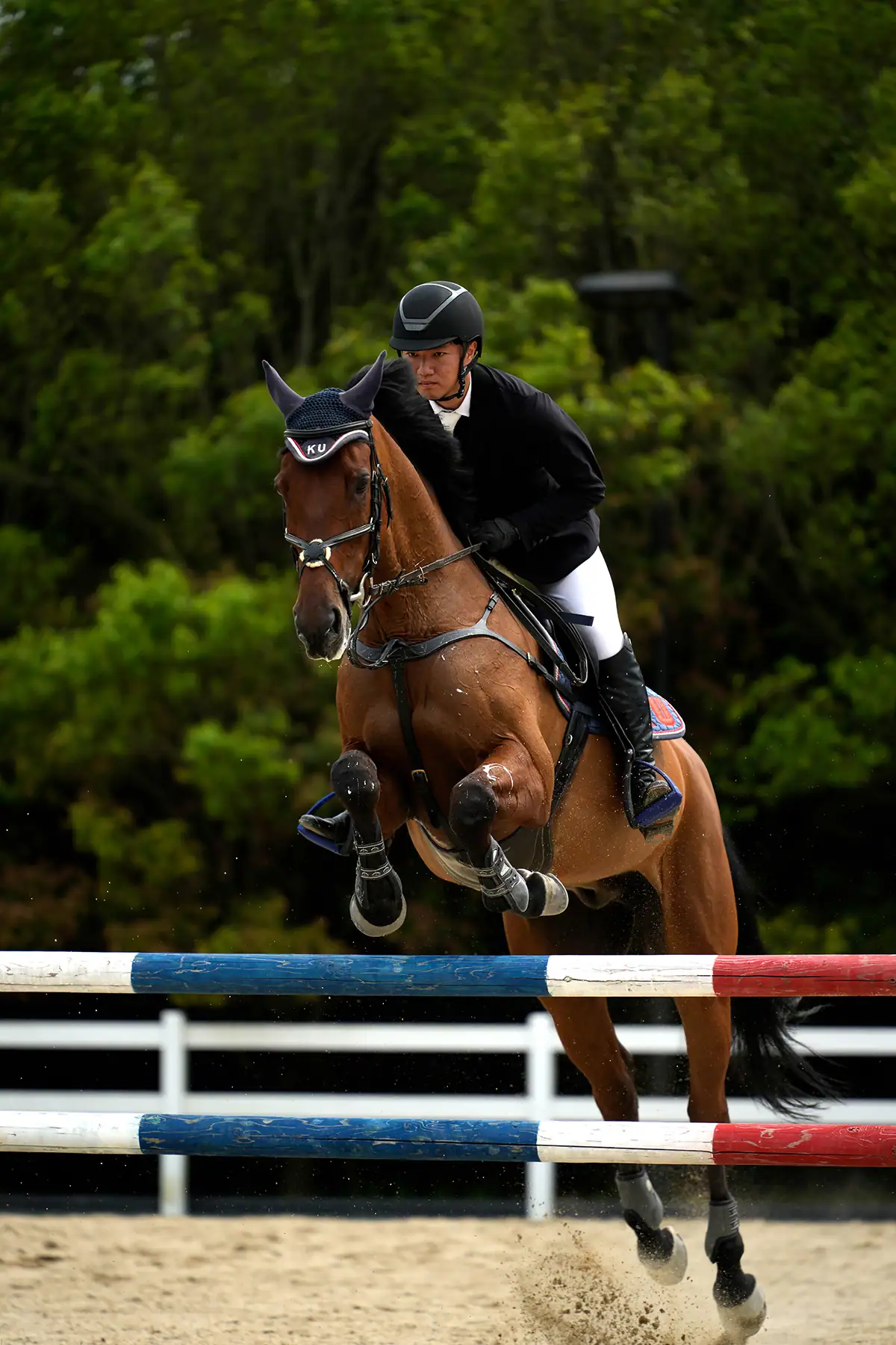 Equestrian rider and horse clearing a jump during competition, photographed for action photography with the Tamron 70-180mm F2.8 G2.