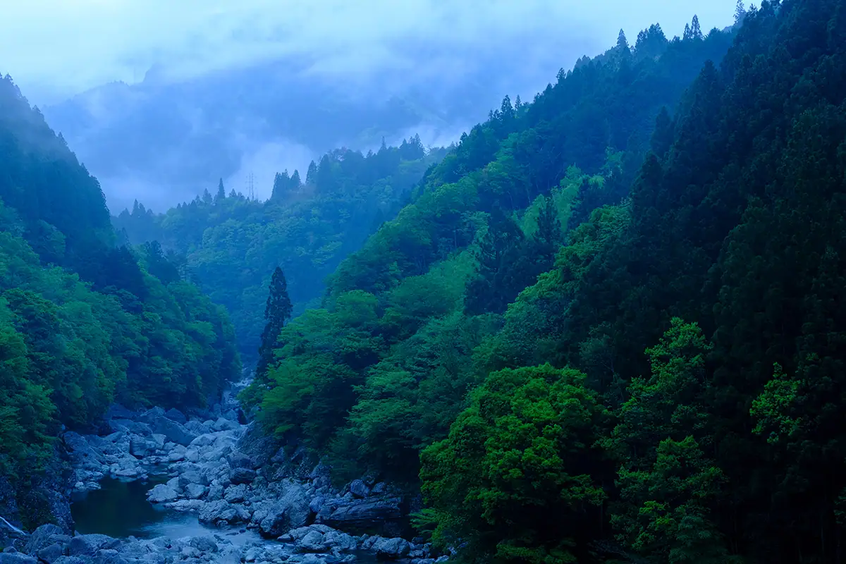Blue-toned mountain landscape with mist, evergreen forest, and rocks along the river.