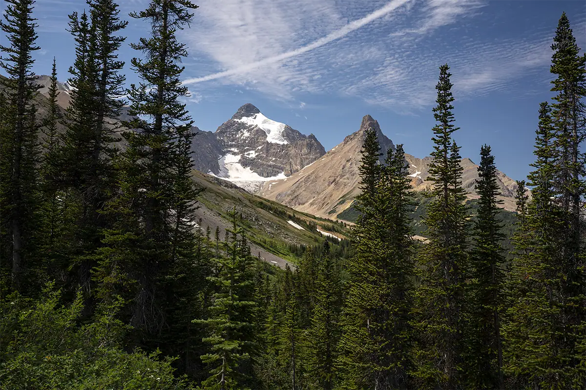 Paisagem montanhosa emoldurada por árvores sempre verdes, fotografada com uma lente grande angular para enfatizar a profundidade e a escala.