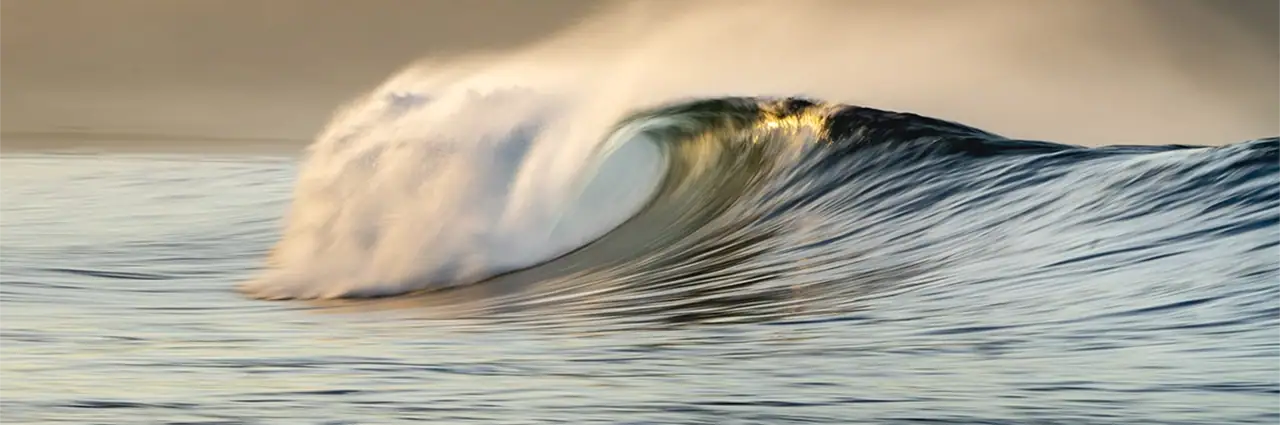 Photographie de vagues montrant une vague océanique déferlante et nette, qui brille dans une lumière chaude et dorée.