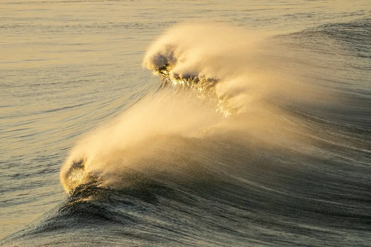 Photographie d'une vague de l'océan déferlant à l'heure dorée avec des embruns brillant dans la lumière.