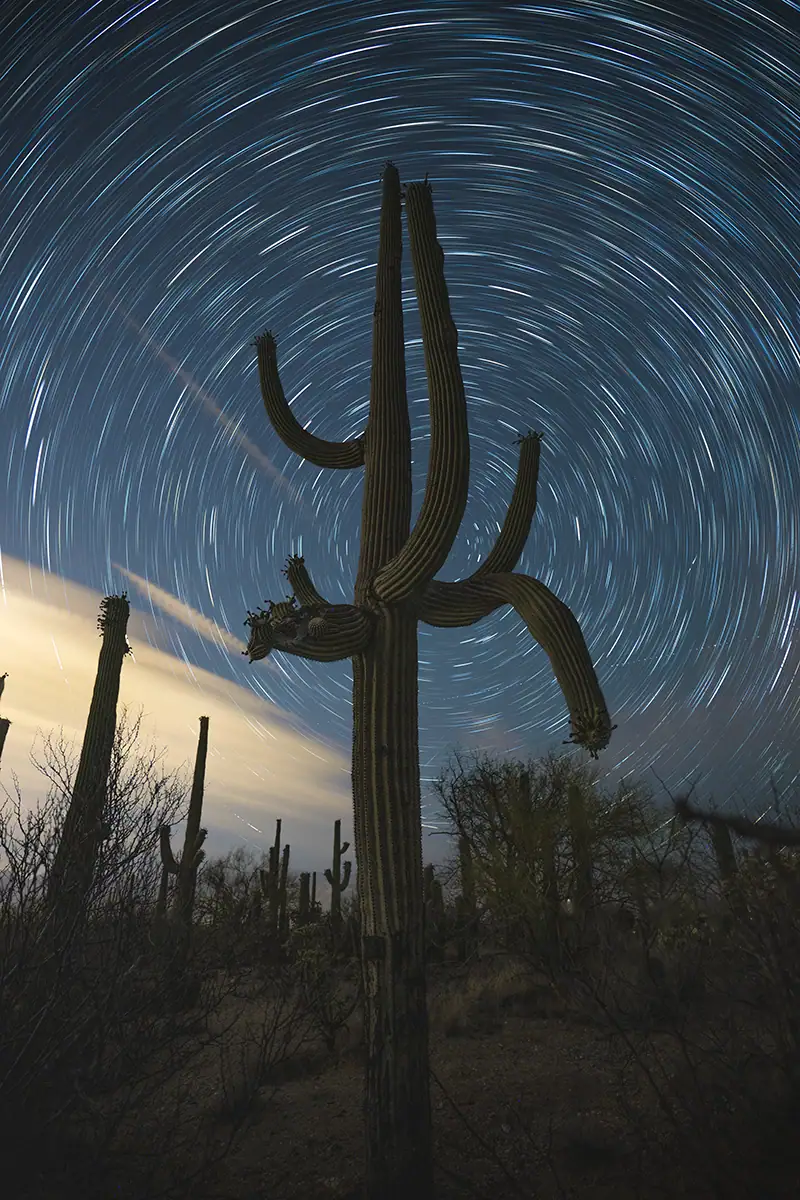Star Trails at Saguaro National Park