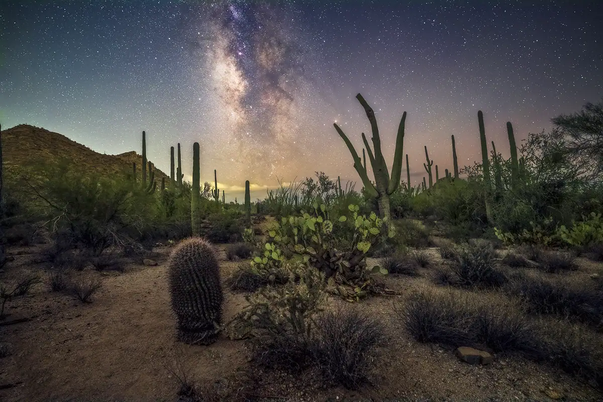 A faint glow hugging the horizon at Saguaro National Park.