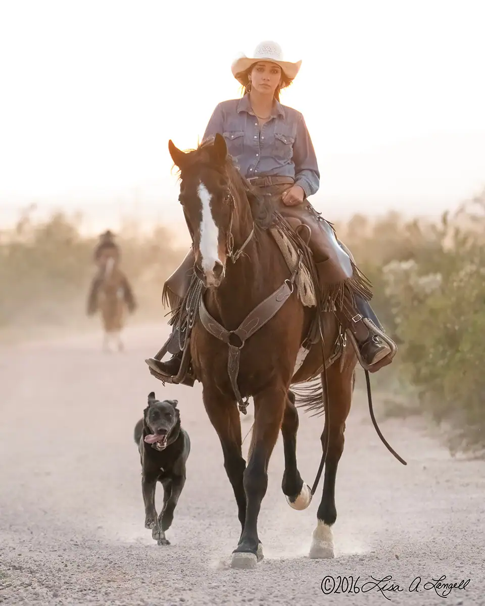 Uma vaqueira voltando pela estrada empoeirada de um rancho, com um cão boiadeiro trotando ao seu lado