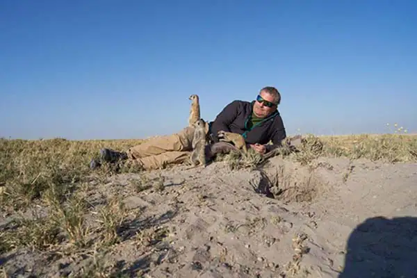 Photographer lying on ground interacting with meerkat during wildlife safari photography experience.
