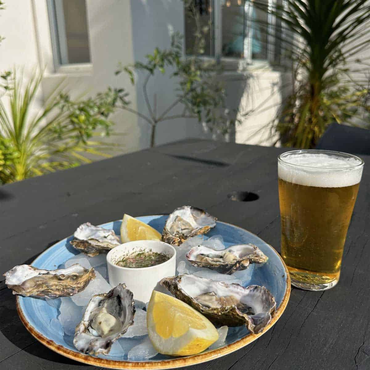 Oysters Oysters