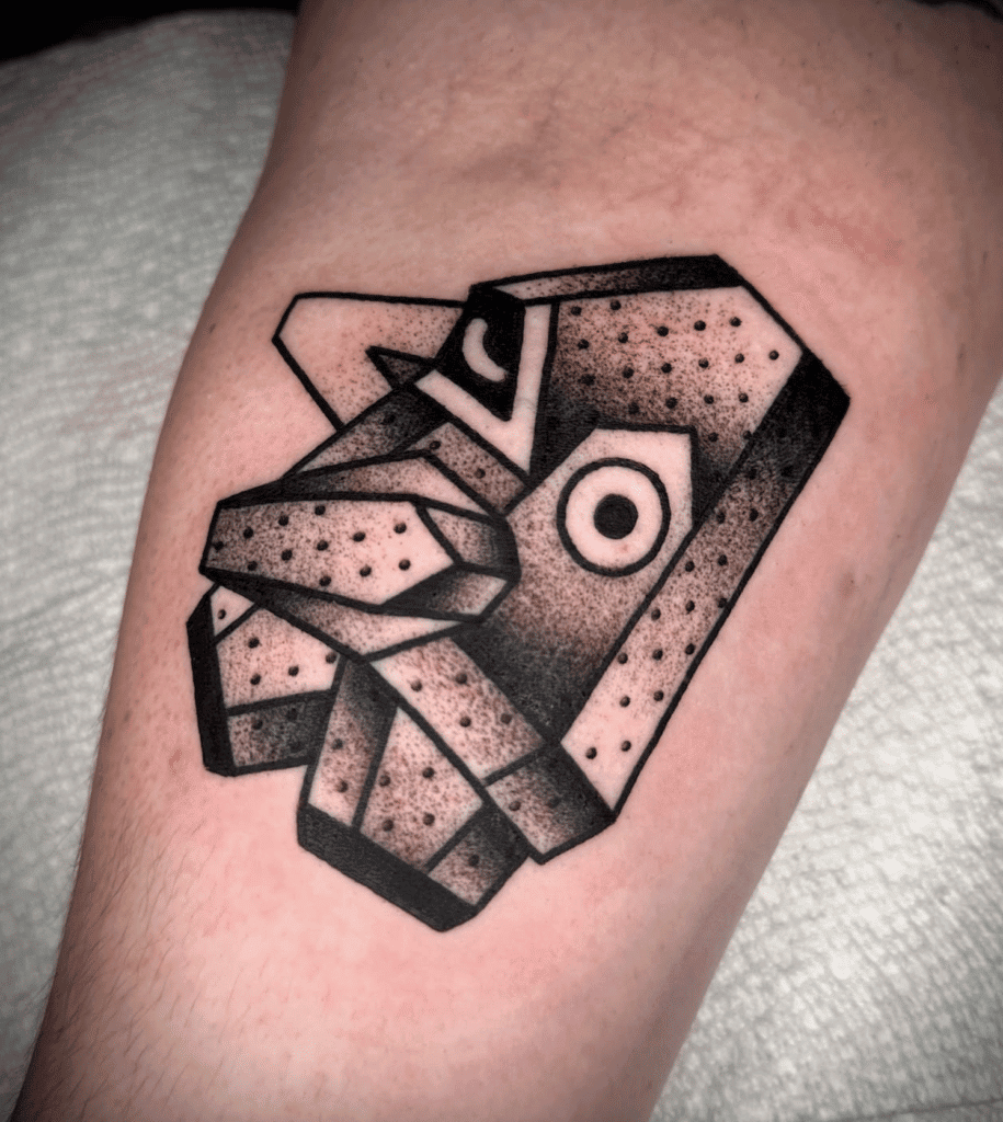 Nosepass Mexico Hoenn Pokémon