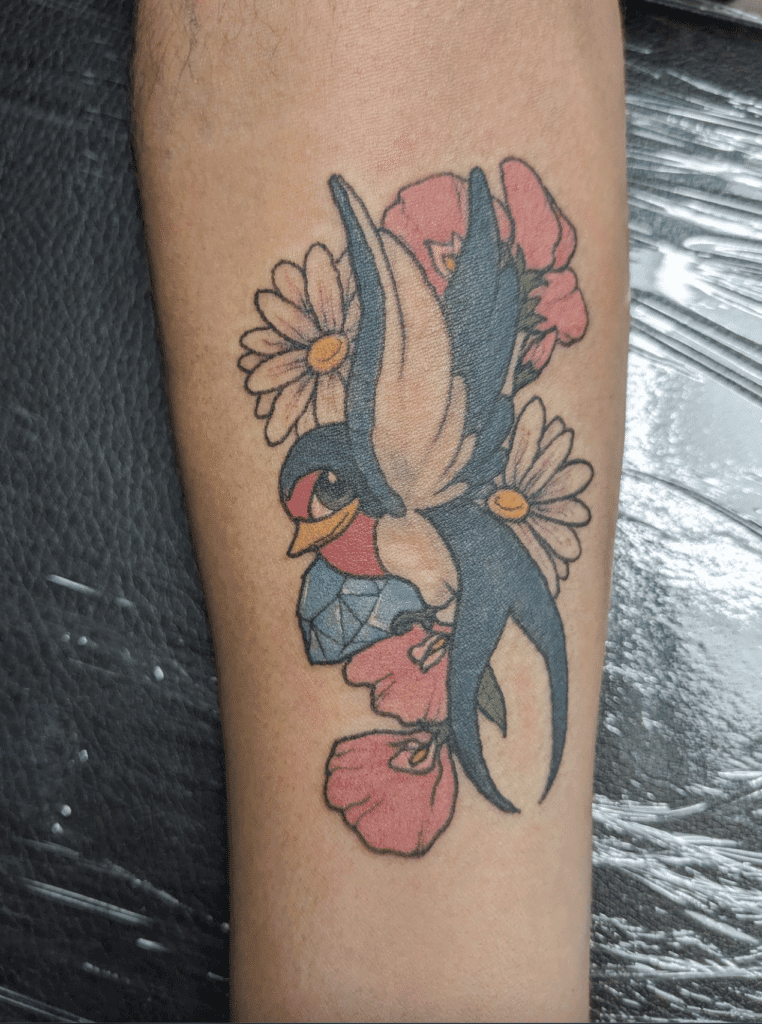 Taillow Hoenn Pokémon