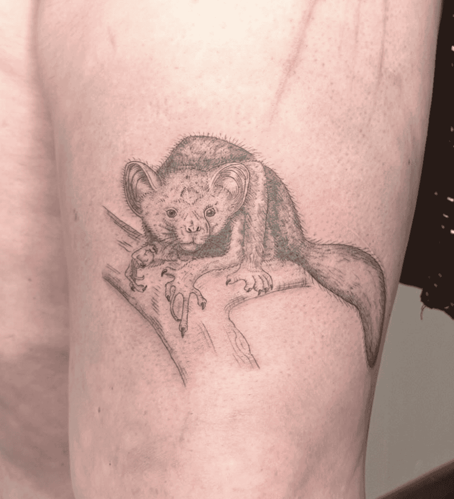 Aye-aye Primate Tattoo