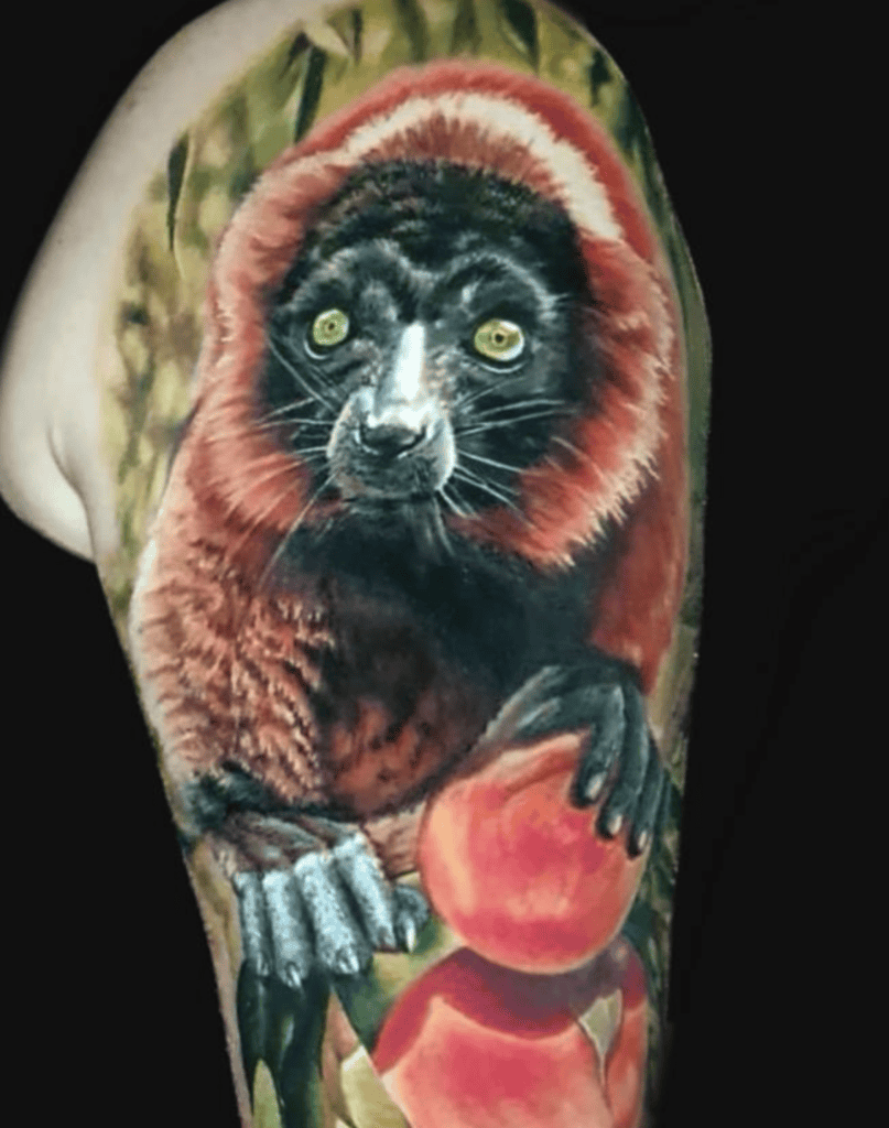 Red Ruffed Lemur Fruit Primate Tattoo