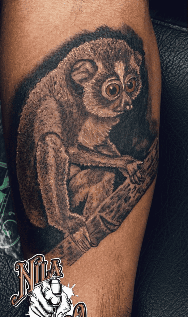Slender Loris Branch Primate Tattoo