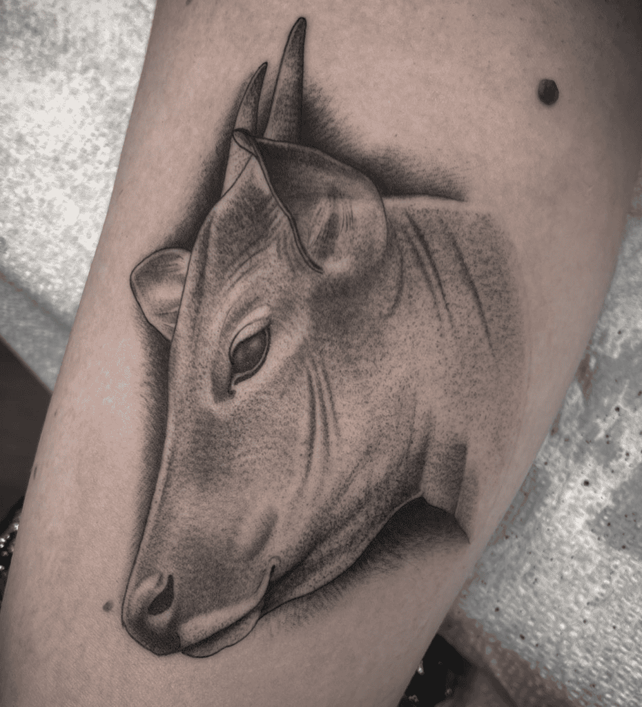 Banteng Bovine Tattoo