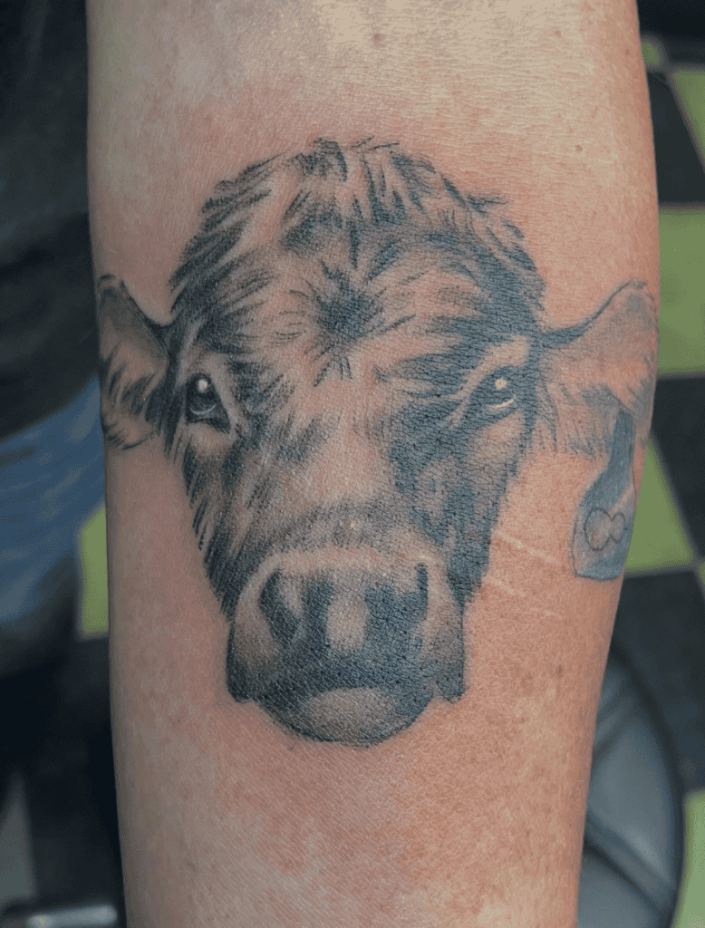 Charolais Cattle Bovine Tattoo