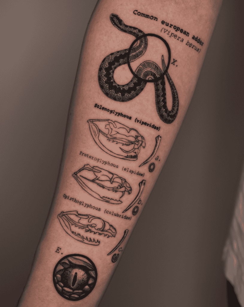 Common European Adder Snake Tattoo